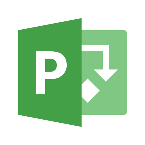 Project Professional Project Professional